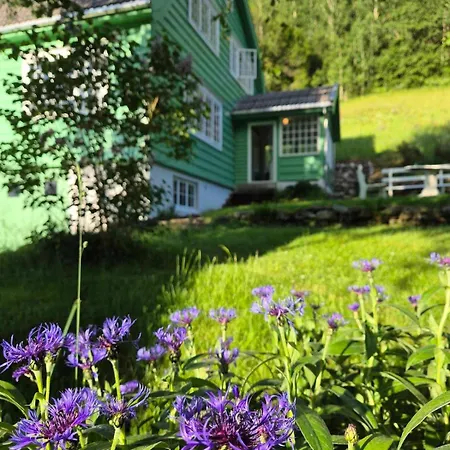 Villa The - Olden
