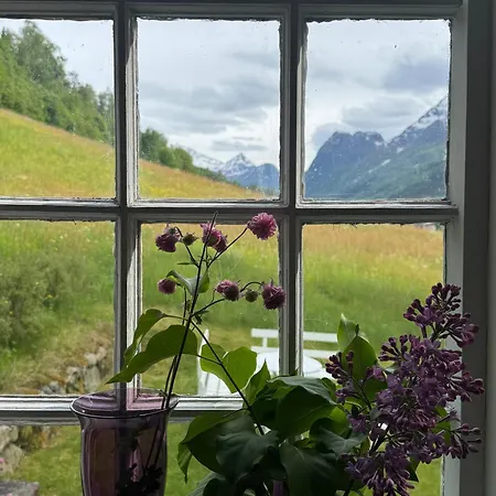 Villa The - Olden